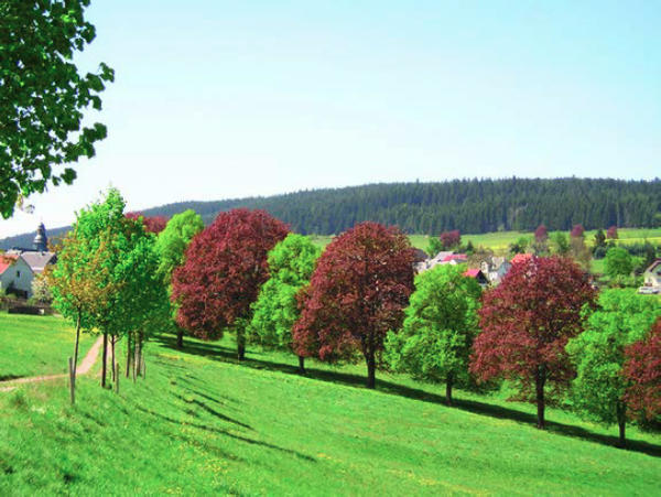 Panoramaweg Schwarzatal