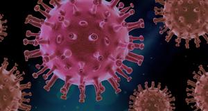 Bild vergr&ouml;&szlig;ern: Corona Virus