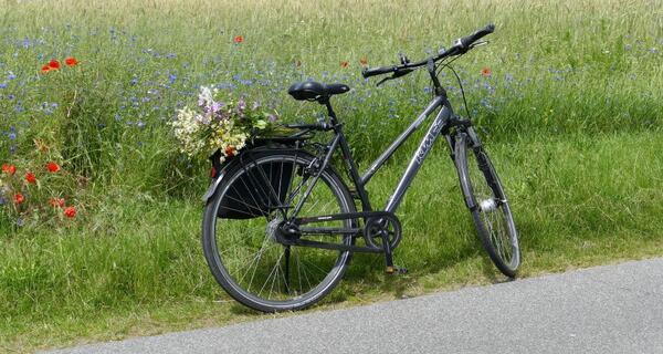 Bild vergr&ouml;&szlig;ern: Fahrrad