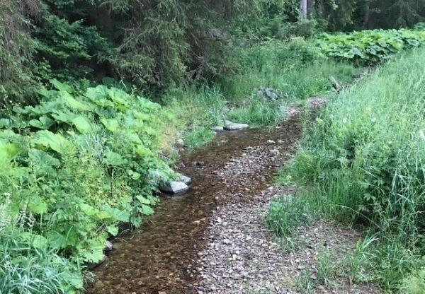 Bild vergr&ouml;&szlig;ern: Taubach St&uuml;tzerbach