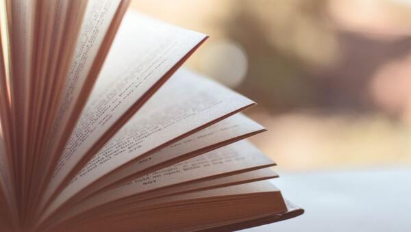 Bild vergr&ouml;&szlig;ern: B&uuml;cher